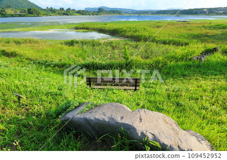 This is a beautiful view of the migratory bird sanctuary, a famous tourist attraction on Jeju Island, South Korea. 109452952