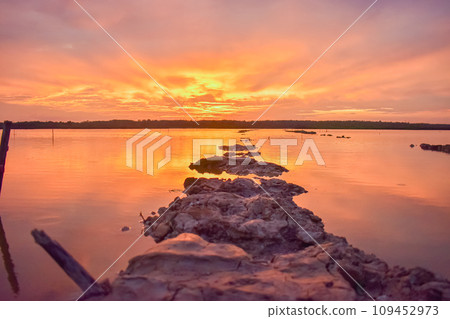 Sunset view of fresh water rice fields in Indonesia 109452973