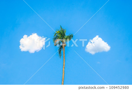 The landscape of tall coconut trees against the background of the blue sky, white clouds on the left and right sides looks very beautiful 109452980