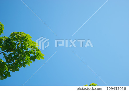 Beautiful Blue Sky View in Indonesian Summer 109453036