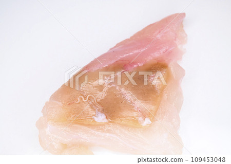 生魚片上附有異尖線蟲 109453048
