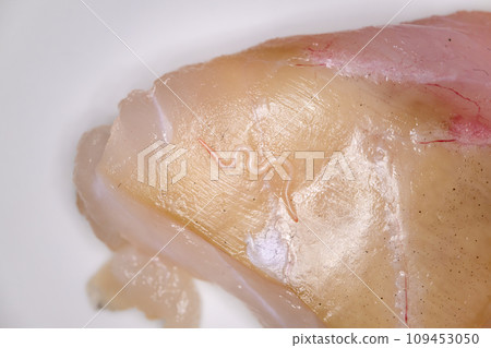 生魚片上附有異尖線蟲 109453050