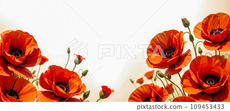 AI-generated content. Field of poppies. Red poppy flowers on pastel background. Remembrance Day, Armistice Day, Anzac day symbol 109453433