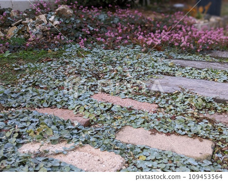 Enjoy gardening by laying bricks Enjoy gardening by laying bricks 109453564