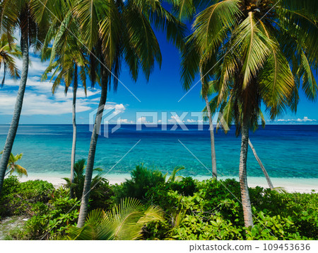 Aerial view of paradise Maldives tropical beach with coconut palms on island. Summer and travel vacation concept. Aerial view of paradise Maldives tropical beach with coconut palms on island. Summer and travel vacation concept. 109453636