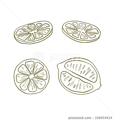 Vector hand-drawn set of lemons. Whole lemon, cut into pieces, half. Illustration in the style of engraving tropical summer fruits. The detailed citrus pattern is great for tea, juices, natural cosmet Vector hand-drawn set of lemons. Whole lemon, cut into pieces, half. Illustration in the style of engraving tropical summer fruits. The detailed citrus pattern is great for tea, juices, natural cosmet 109454414