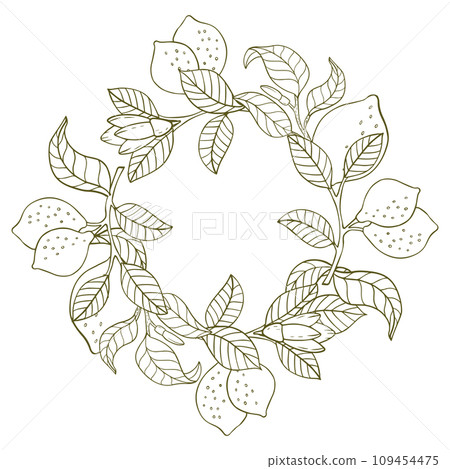 A composition of lemon twigs and lemons in the form of a wreath. Citrus composition in graphic style. Vector illustration isolated on a white background. A composition of lemon twigs and lemons in the form of a wreath. Citrus composition in graphic style. Vector illustration isolated on a white background. 109454475