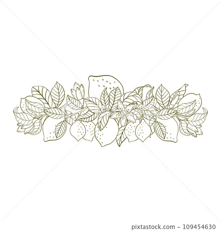 A composition of lemon twigs and lemons. A composition of citrus fruits in a graphic style. Vector illustration isolated on a white background. 109454630