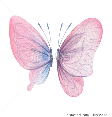 Butterflies are pink, blue, lilac, flying, delicate with wings and splashes of paint. Hand drawn watercolor illustration. Set of isolated elements on a white background, for design Butterflies are pink, blue, lilac, flying, delicate with wings and splashes of paint. Hand drawn watercolor illustration. Set of isolated elements on a white background, for design 109454840
