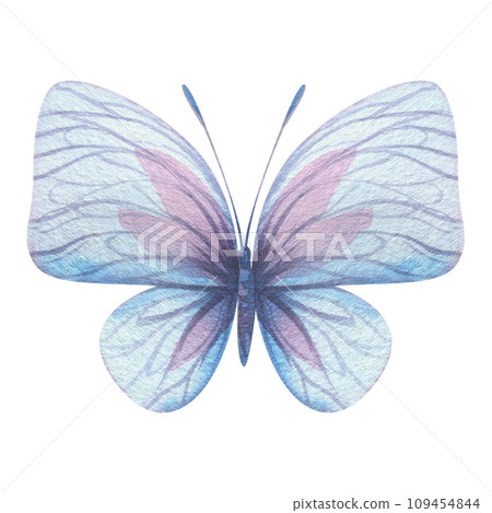 Butterfly are pink, blue, lilac, flying, delicate with wings. Hand drawn watercolor illustration. Isolated element on a white background, for design. 109454844
