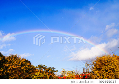 Rainbow and train over the autumn leaves forest Rainbow and train over the autumn leaves forest 109455031