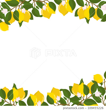 A border of lemon twigs and lemons. Composition of citrus fruits. Vector illustration isolated on a white background. 109455226