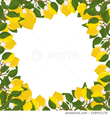 A border of lemon twigs and lemons. Composition of citrus fruits. Vector illustration isolated on a white background. A border of lemon twigs and lemons. Composition of citrus fruits. Vector illustration isolated on a white background. 109455279
