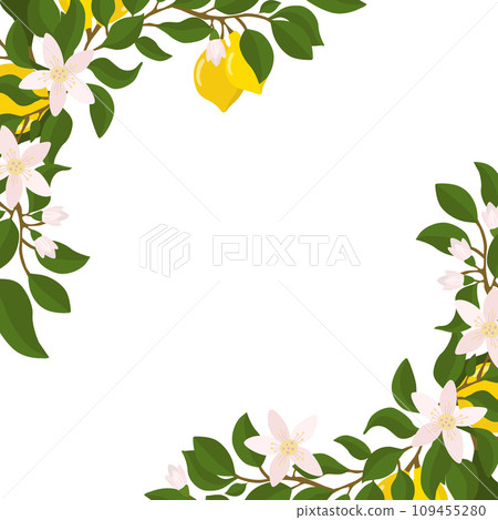 A border of lemon twigs and lemons in the corner of the composition. Vector illustration isolated on a white background. A border of lemon twigs and lemons in the corner of the composition. Vector illustration isolated on a white background. 109455280
