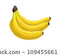 Banana bunch. Three fresh tropic fruit. Realistic illustration isolated on white background. Icon clip art. 109455661