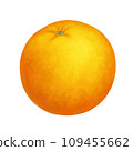 Whole orange. Vector realistic illustration isolated on white background. Orange eps icon clip art. 109455662