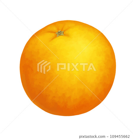 Whole orange. Vector realistic illustration isolated on white background. Orange eps icon clip art. Whole orange. Vector realistic illustration isolated on white background. Orange eps icon clip art. 109455662