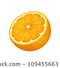 Half of a cut orange. Vector realistic illustration isolated on white background. Orange eps icon clip art. 109455663