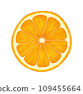 Orange round slice. Vector realistic illustration isolated on white background. Orange eps icon clip art. 109455664