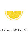 Lemon slice. Realistic illustration isolated on white background. Lemon icon clip art. 109455665