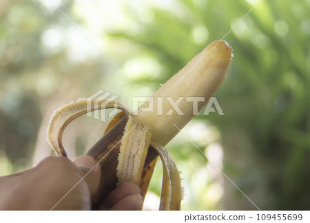 Rotten banana with hand holding on blurred bokeh nature Rotten banana with hand holding on blurred bokeh nature 109455699