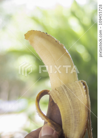 Rotten banana with hand holding on blurred bokeh nature Rotten banana with hand holding on blurred bokeh nature 109455728