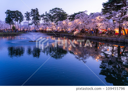 【新潟縣】櫻花盛開，春天的高田城跡公園夜景 109455796