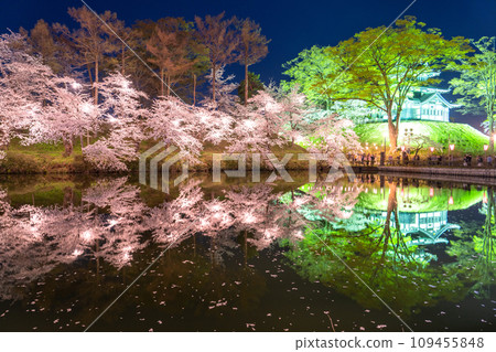 【新潟縣】櫻花盛開，春天的高田城跡公園夜景 109455848
