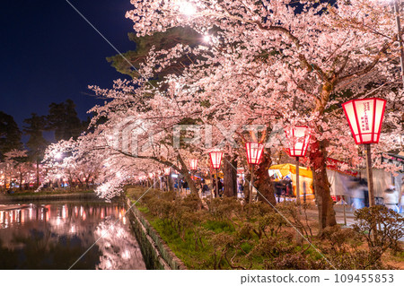 【新潟縣】櫻花盛開,春天的高田城跡公園夜景 【新潟縣】櫻花盛開,春天的高田城跡公園夜景 109455853