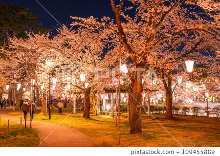 【新潟縣】櫻花盛開，春天的高田城跡公園夜景 109455889