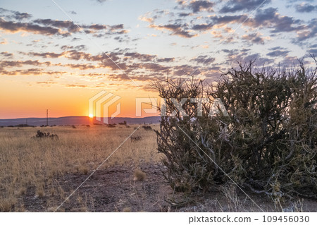 Sunset near sesriem 109456030