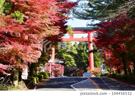 霧島市霧島神社大鳥居與色彩繽紛的秋葉 霧島市霧島神社大鳥居與色彩繽紛的秋葉 109456532