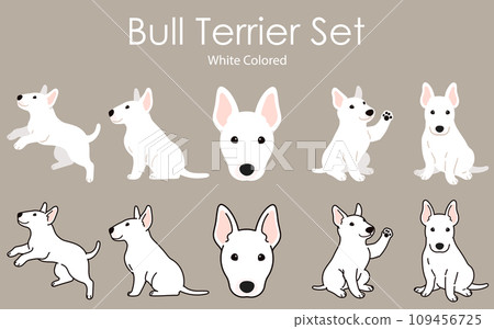 Simple and cute white bull terrier illustration set with and without main lines Simple and cute white bull terrier illustration set with and without main lines 109456725