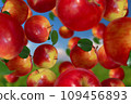 Fruits falling down on sky background 109456893