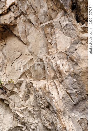 Light backdrop of a natural stone surface. Great texture for your design. Copy space. 109457074