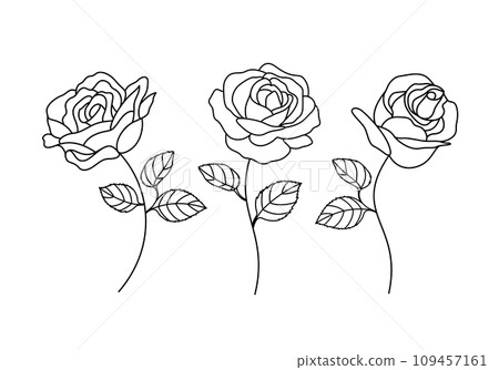 Set of decorative hand drawn roses.  109457161