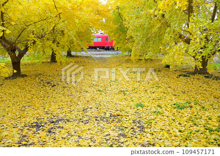 華麗的黃葉和紅色的火車 華麗的黃葉和紅色的火車 109457171