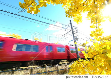 華麗的黃葉和紅色的火車 華麗的黃葉和紅色的火車 109457186