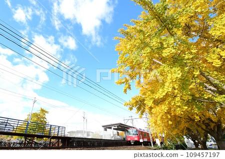 Gorgeous yellow leaves and red train Gorgeous yellow leaves and red train 109457197
