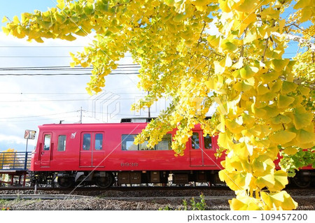 華麗的黃葉和紅色的火車 華麗的黃葉和紅色的火車 109457200