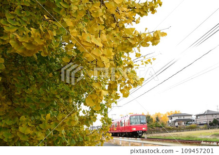 華麗的黃葉和紅色的火車 109457201