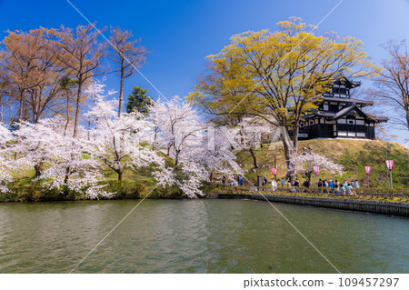 <Niigata Prefecture> Cherry blossoms in full bloom at Takada Castle Park in spring <Niigata Prefecture> Cherry blossoms in full bloom at Takada Castle Park in spring 109457297