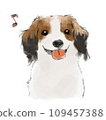 Handwritten illustration of a happy Koikel 109457388