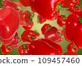 Red bulgarian peppers falling down 109457460
