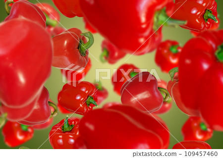 Red bulgarian peppers falling down Red bulgarian peppers falling down 109457460