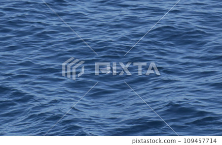 Flying fish Flying fish 109457714