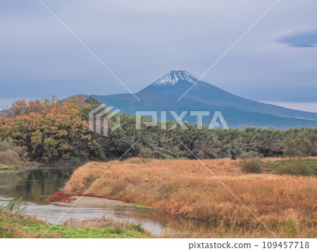 (靜岡縣)鹿野川沿岸的紅葉和富士山 (靜岡縣)鹿野川沿岸的紅葉和富士山 109457718