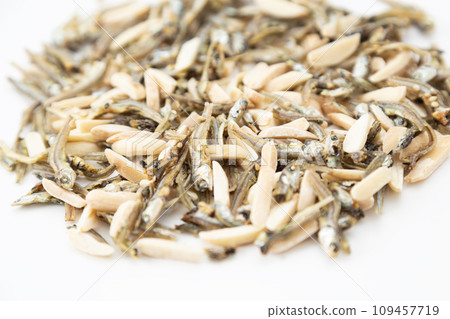 Almondfish white background 109457719