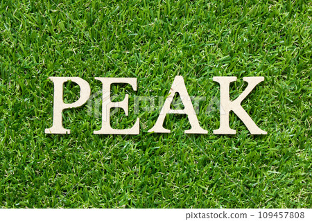 Wood letter in word peak on green grass background 109457808