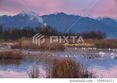 Northern Alps Morgenroth [Mitakarada Yusui Pond] 109458211